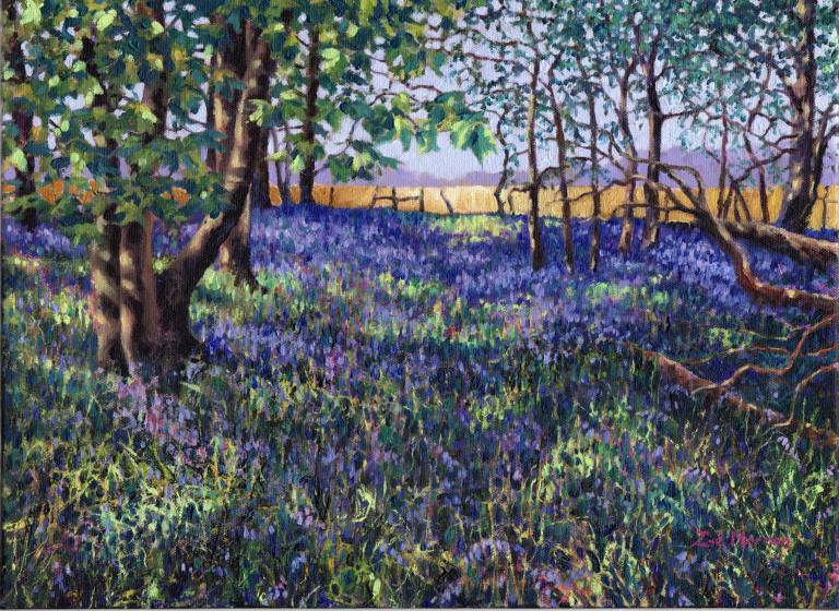 Bluebell Wood - Zoe Elizabeth Norman