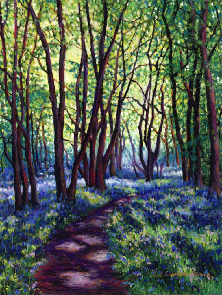 May Bluebells - Zoe Elizabeth Norman