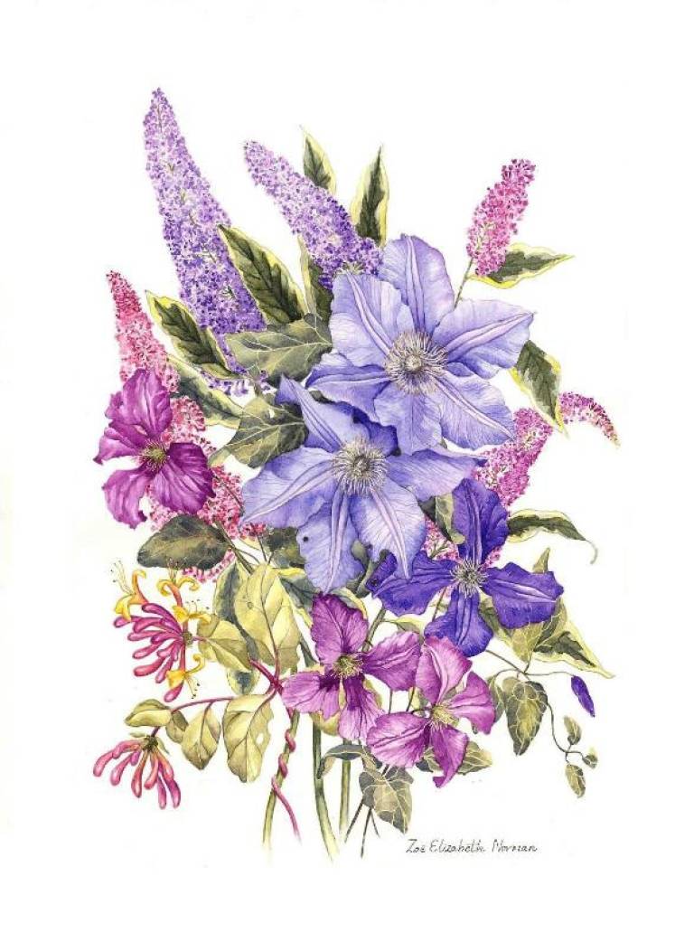 Buddleia and Clematis - Zoe Elizabeth Norman