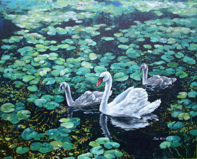 Swan and Cygnets - Zoe Elizabeth Norman