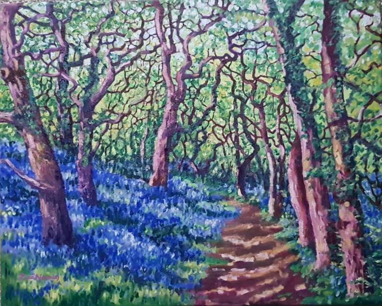 Cornish Bluebells - Zoe Elizabeth Norman