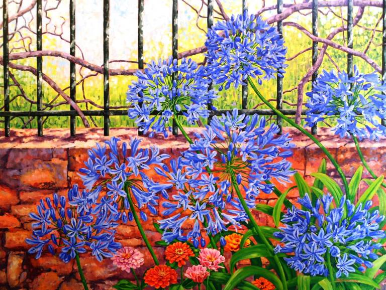 Blue Agapanthus - Zoe Elizabeth Norman