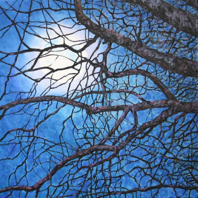 Trees in Moonlight - Zoe Elizabeth Norman