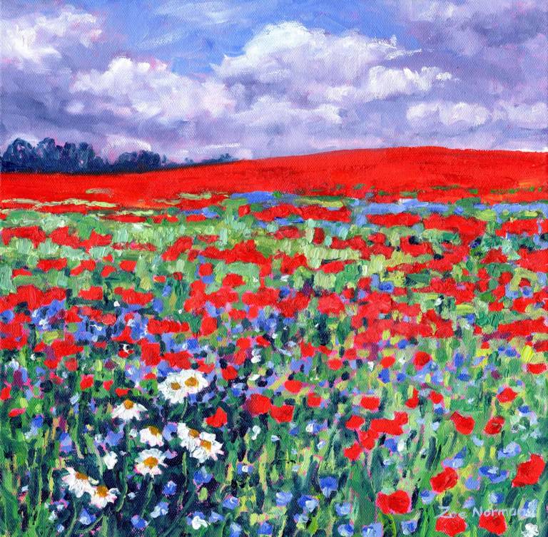 Wild Poppies - Zoe Elizabeth Norman