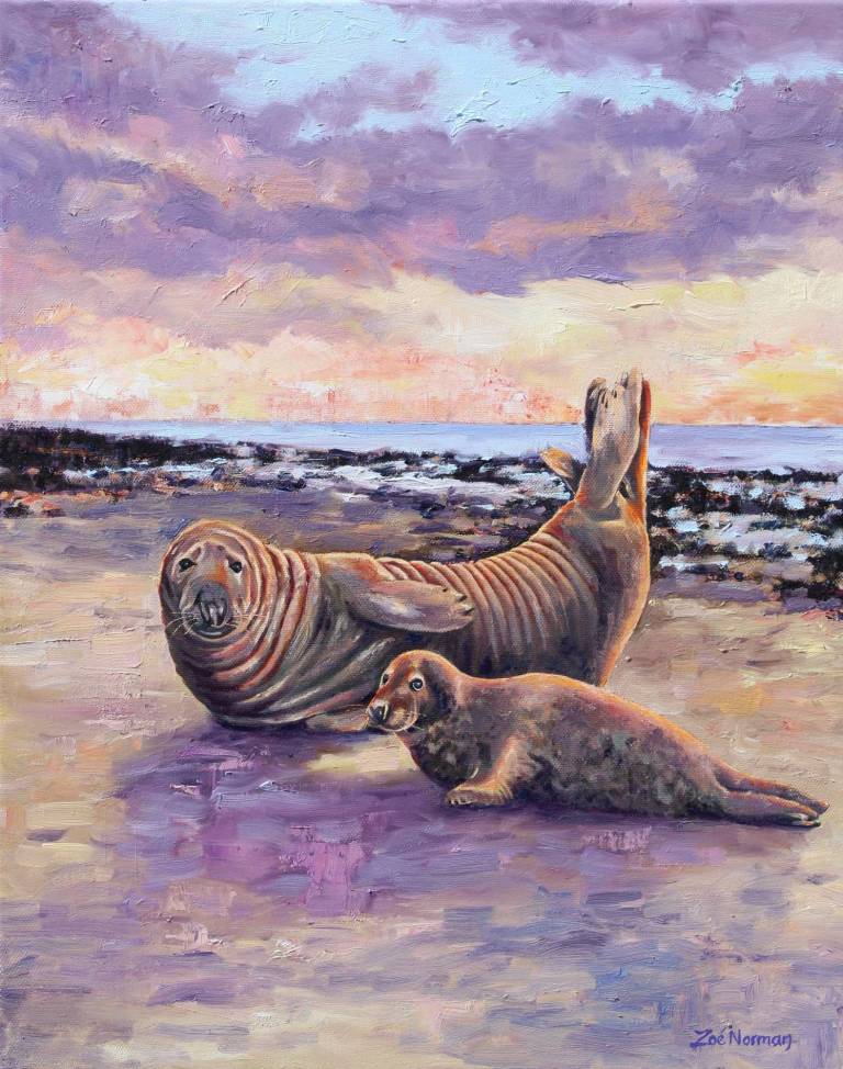 Grey Seals at Horsey - Zoe Elizabeth Norman