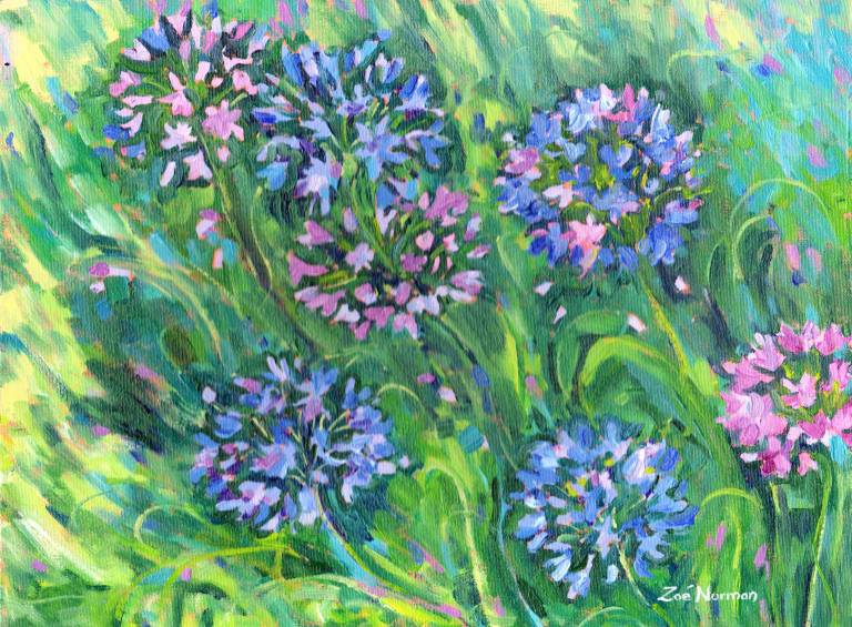 Allium Flowers - Zoe Elizabeth Norman