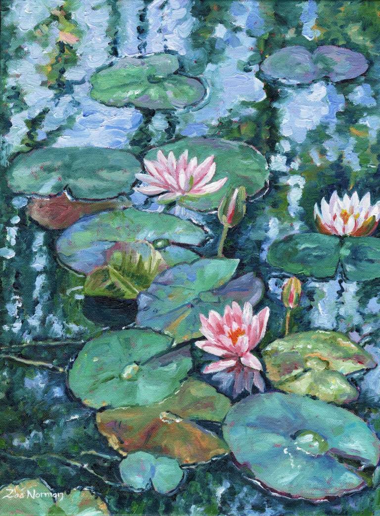 Waterlilies on th Pond - Zoe Elizabeth Norman