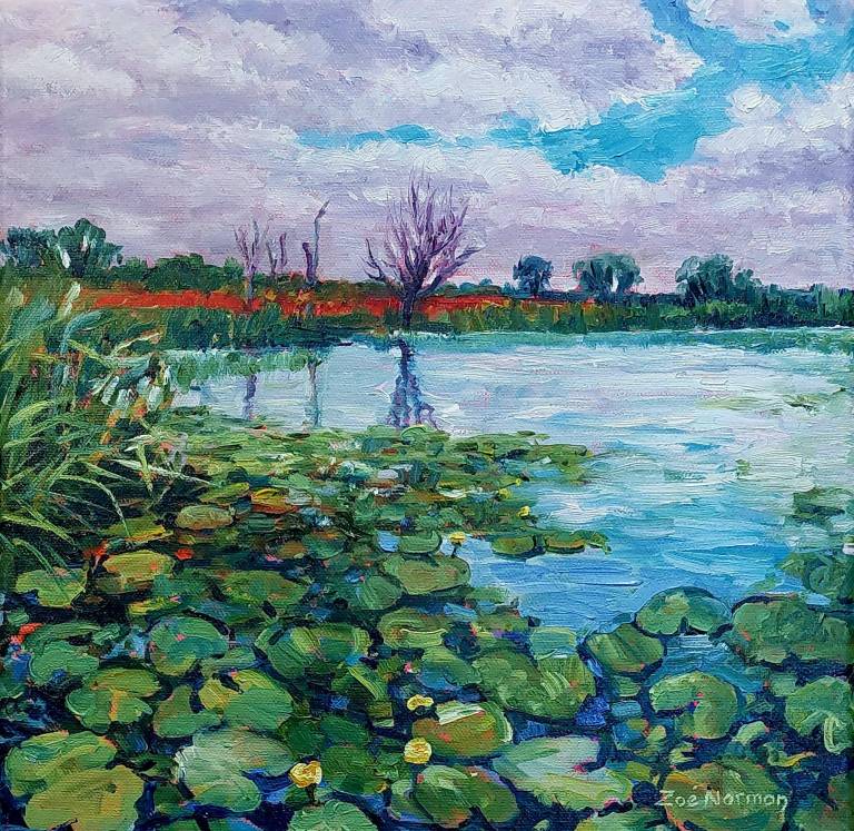 Waterlilies on the River Bure - Zoe Elizabeth Norman