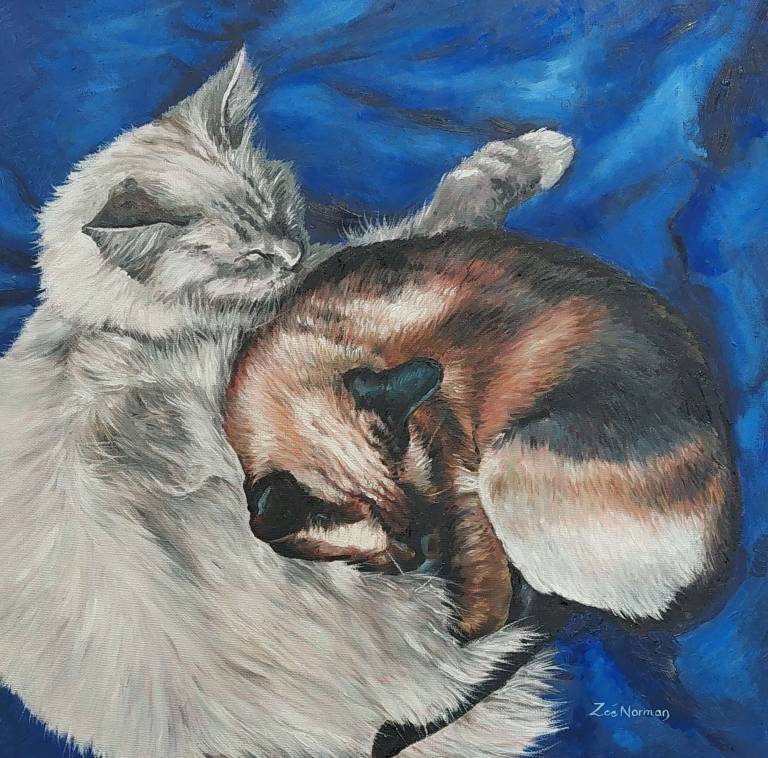 Sleeping Cats - Zoe Elizabeth Norman