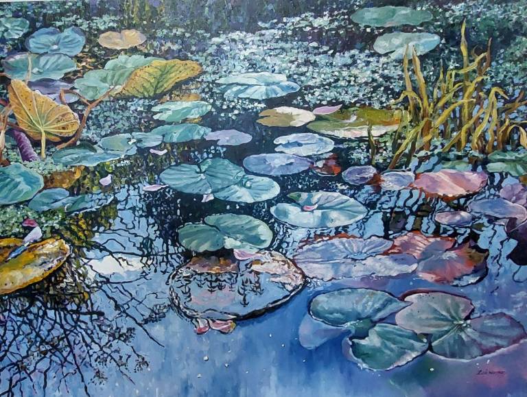 Waterlilies on the Pond - Zoe Elizabeth Norman