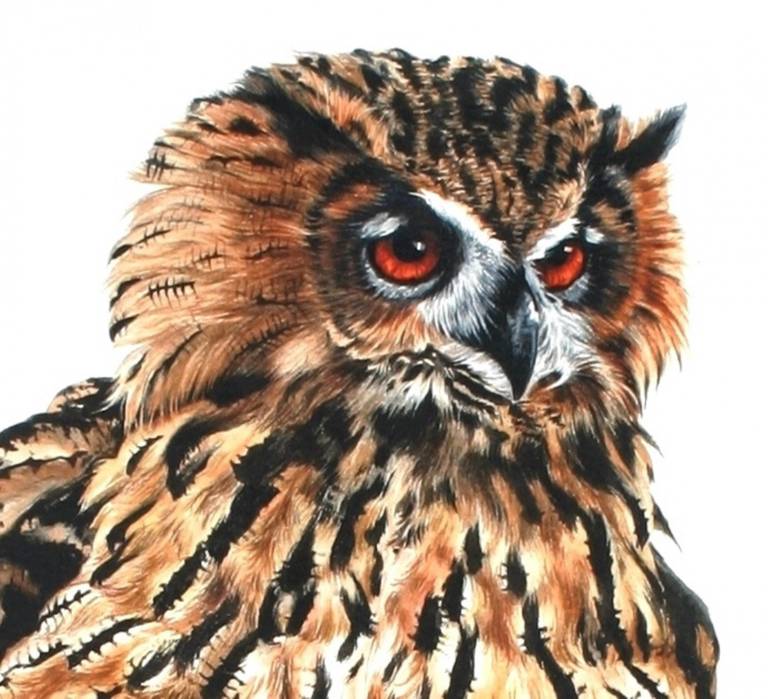 Eagle Owl - Zoe Elizabeth Norman