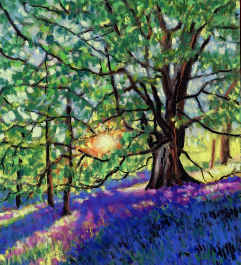 Bluebells - Zoe Elizabeth Norman