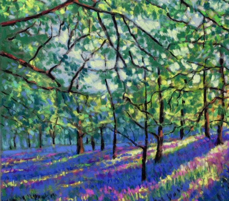 Bluebells - Zoe Elizabeth Norman