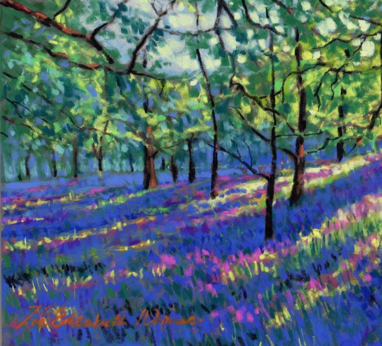 Bluebells - Zoe Elizabeth Norman