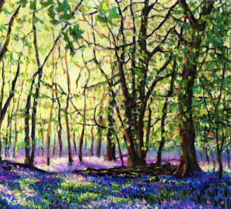 Bluebell Glade - Zoe Elizabeth Norman