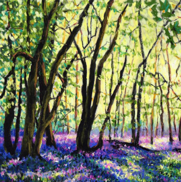 Bluebell Glade - Zoe Elizabeth Norman