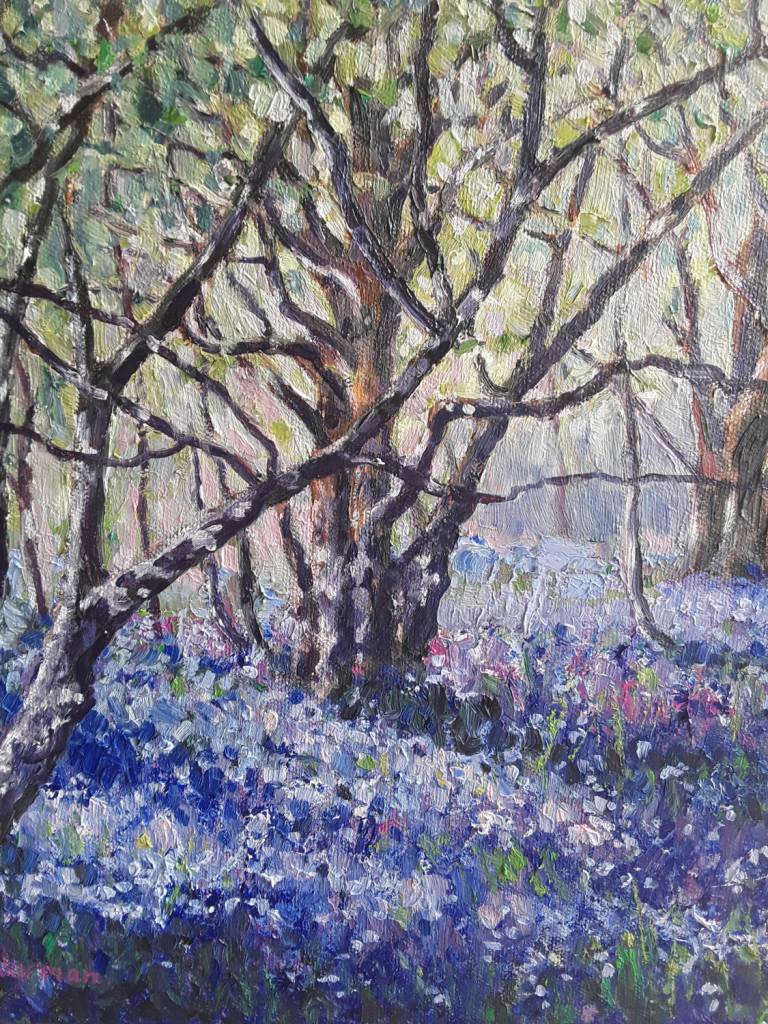 Spring Bluebells - Zoe Elizabeth Norman