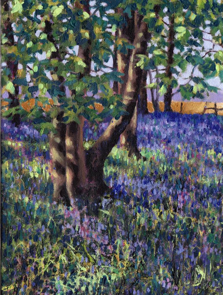 Bluebell Wood - Zoe Elizabeth Norman