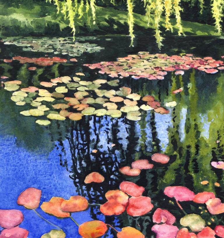 Water Lily Pond - Zoe Elizabeth Norman