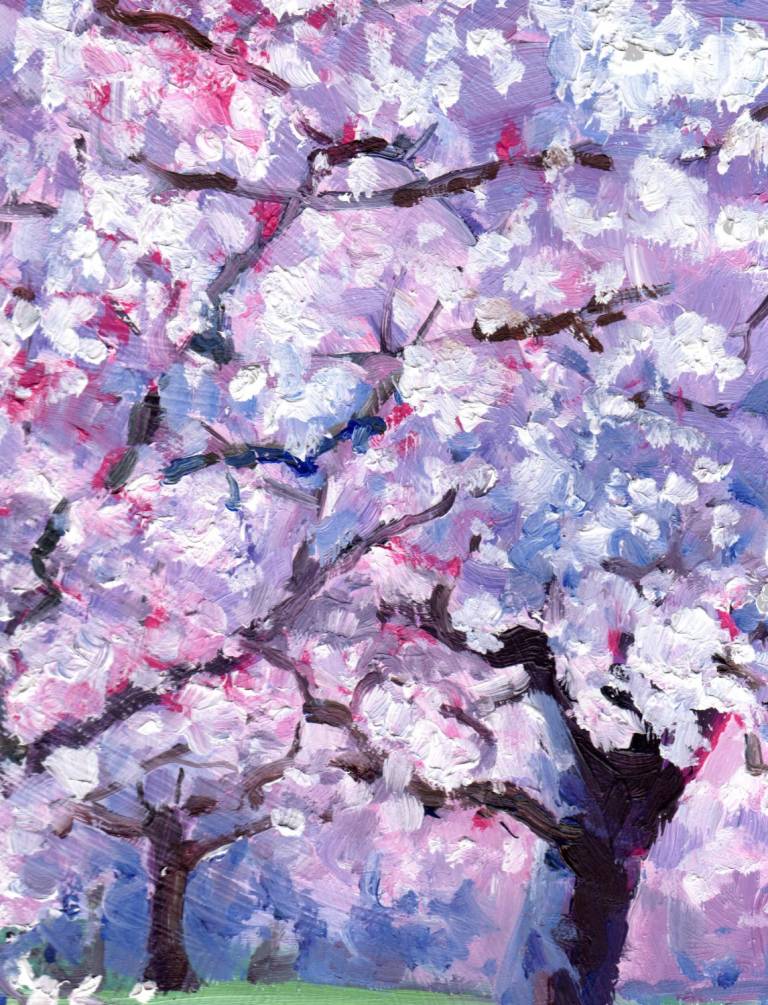 May Blossom - Zoe Elizabeth Norman