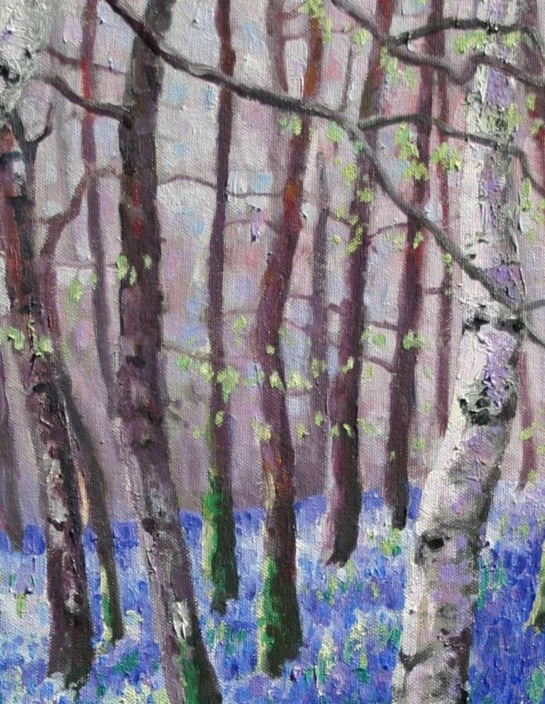 Bluebells and Birch Trees - Zoe Elizabeth Norman