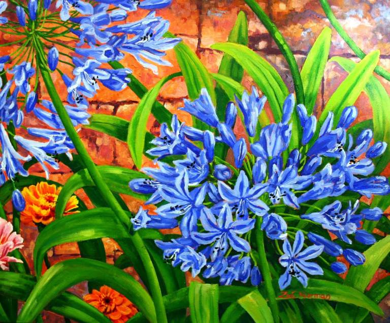 Blue Agapanthus - Zoe Elizabeth Norman