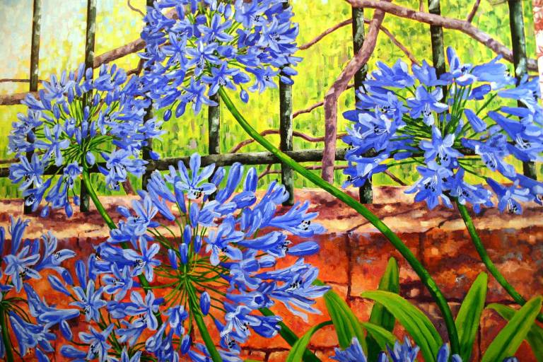 Blue Agapanthus - Zoe Elizabeth Norman