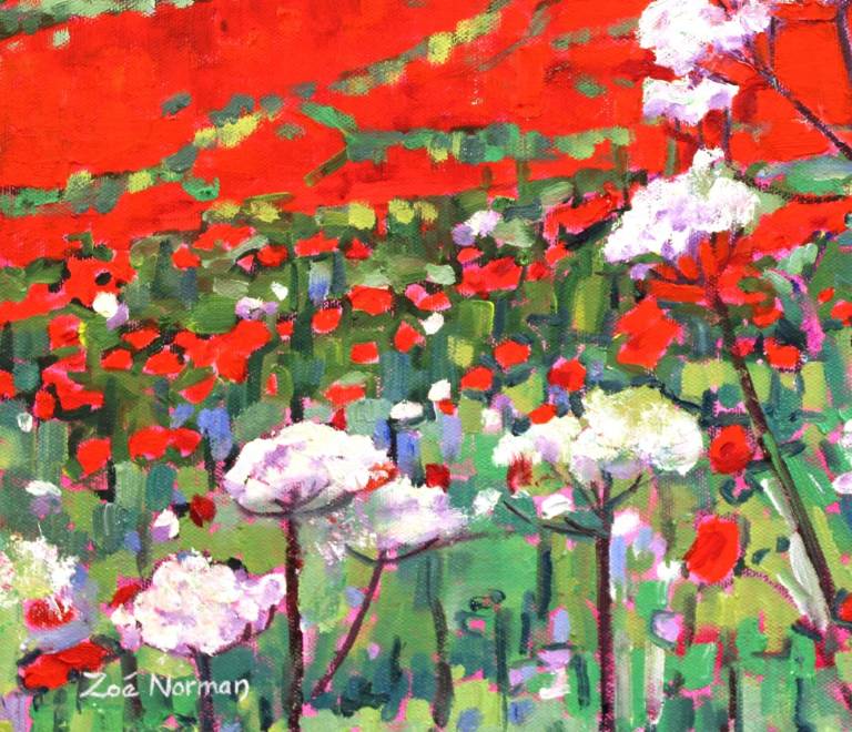 Poppy Field - Zoe Elizabeth Norman