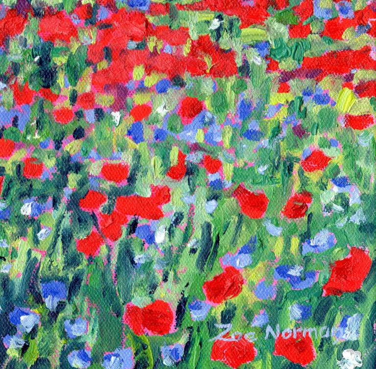 Wild Poppies - Zoe Elizabeth Norman