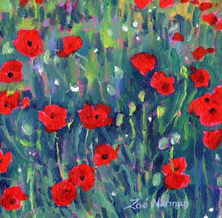 Poppy Flower Meadow - Zoe Elizabeth Norman