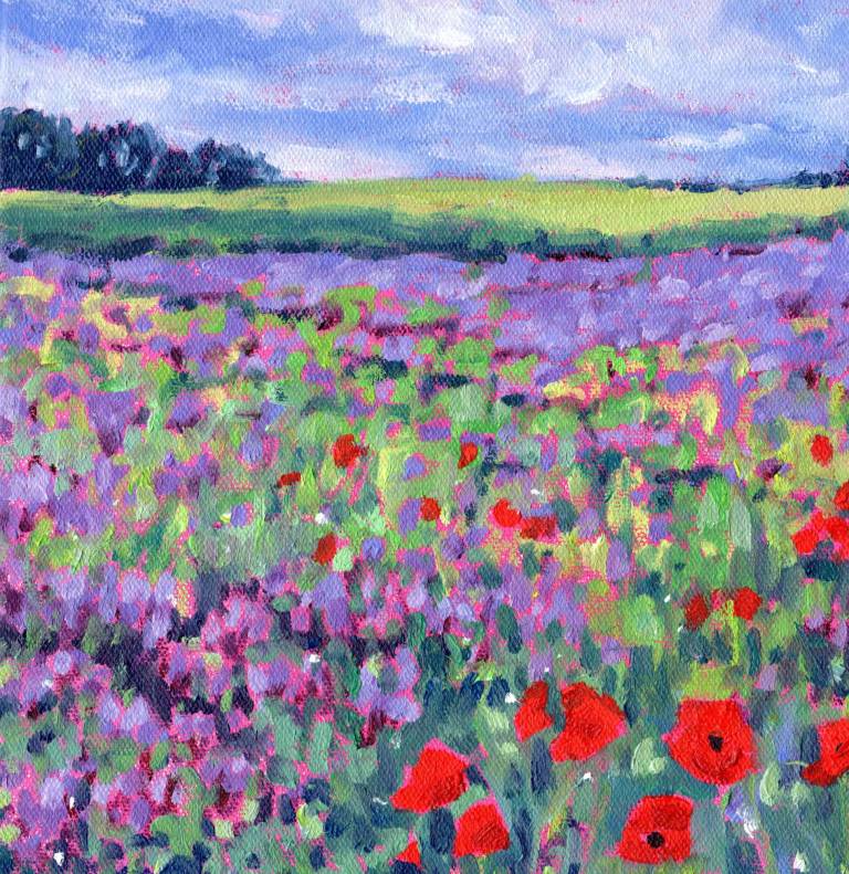 Poppy Flower Meadow - Zoe Elizabeth Norman
