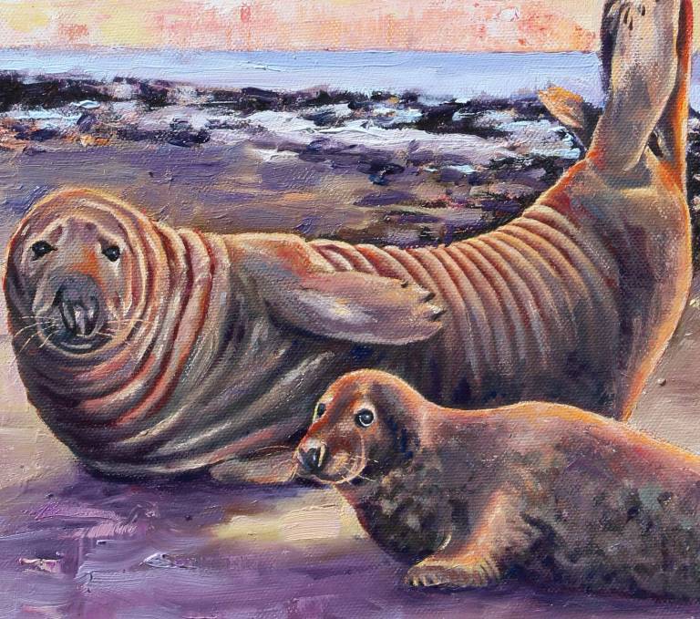 Grey Seals at Horsey - Zoe Elizabeth Norman