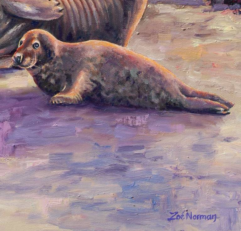 Grey Seals at Horsey - Zoe Elizabeth Norman