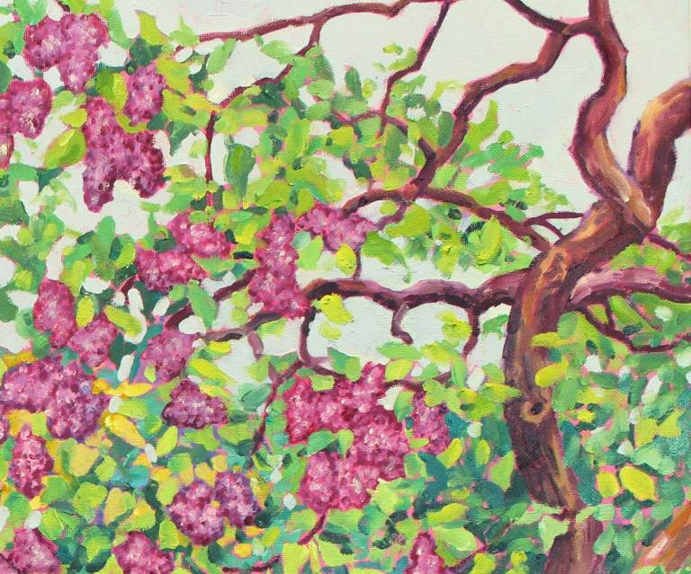 Lilac Trees - Zoe Elizabeth Norman