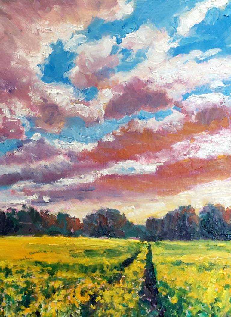 Golden Field - Zoe Elizabeth Norman