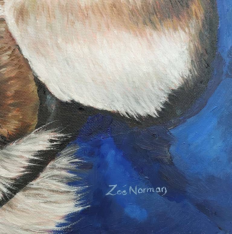 Sleeping Cats - Zoe Elizabeth Norman