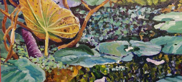 Waterlilies on the Pond - Zoe Elizabeth Norman