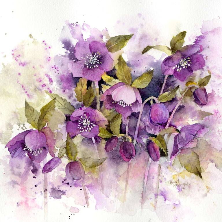Flower Art prints by Yorkshire artist Rachel McNaughton - 