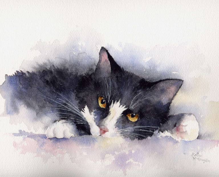 Animal Art Prints by Yorkshire artist Rachel McNaughton