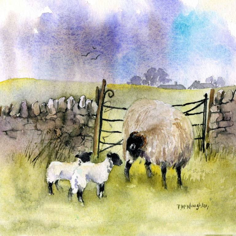 Sheep art prints from Yorkshire watercolour artist Rachel McNaughton - 