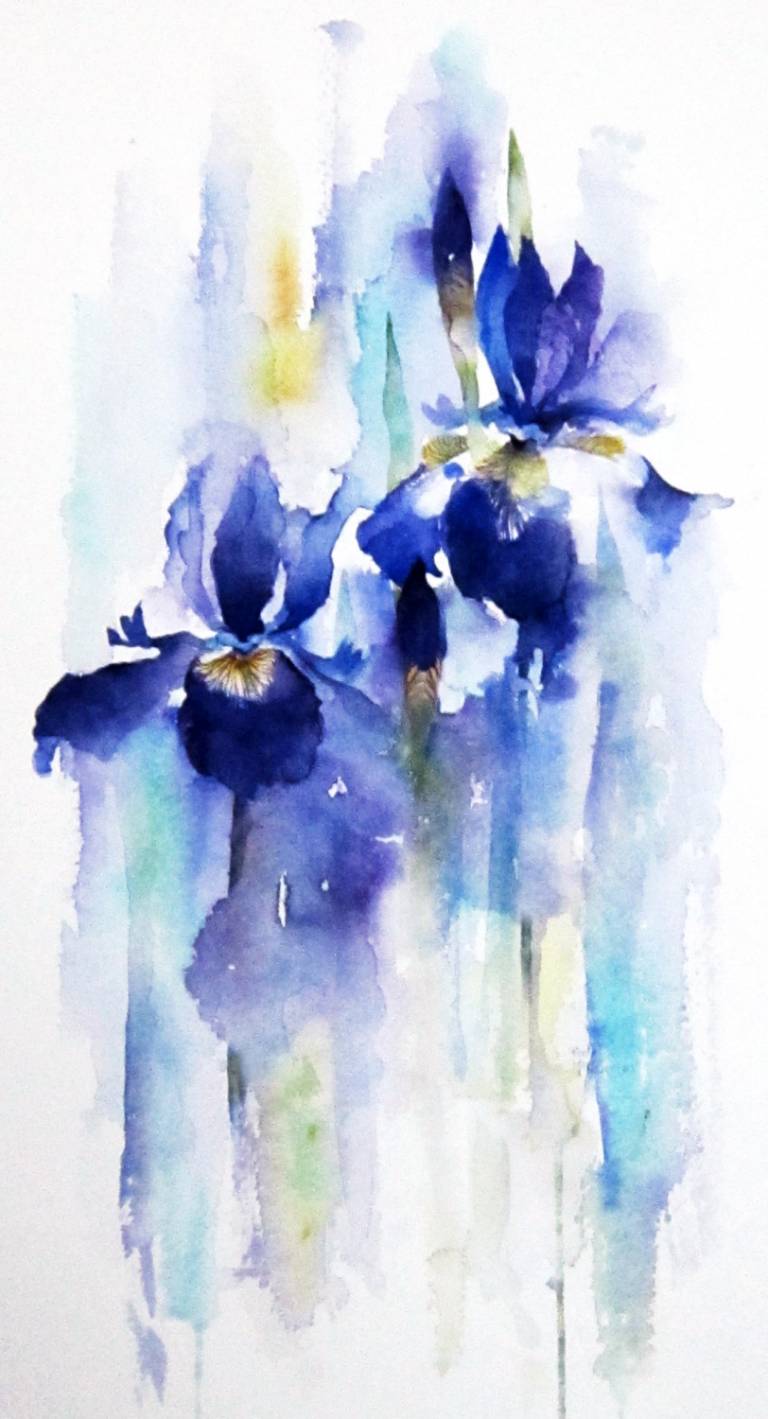 Irises - Rachel McNaughton