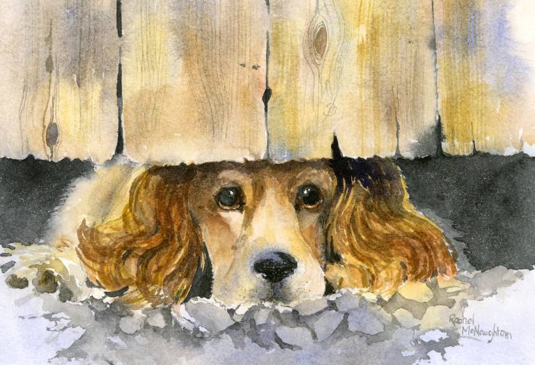 Don't Leave Me! - Rachel McNaughton