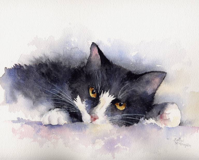 I Wasn't Asleep - Rachel McNaughton