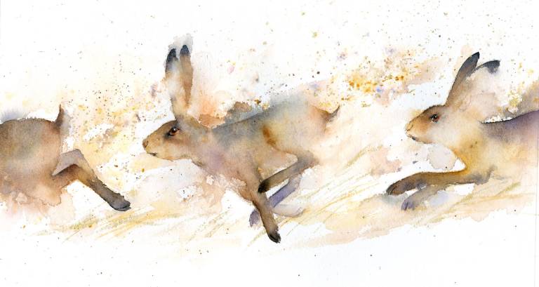 Running Hares - Rachel McNaughton