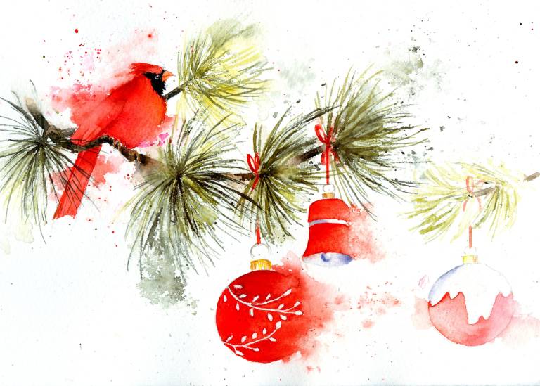 Red Cardinal Xmas card - Rachel McNaughton