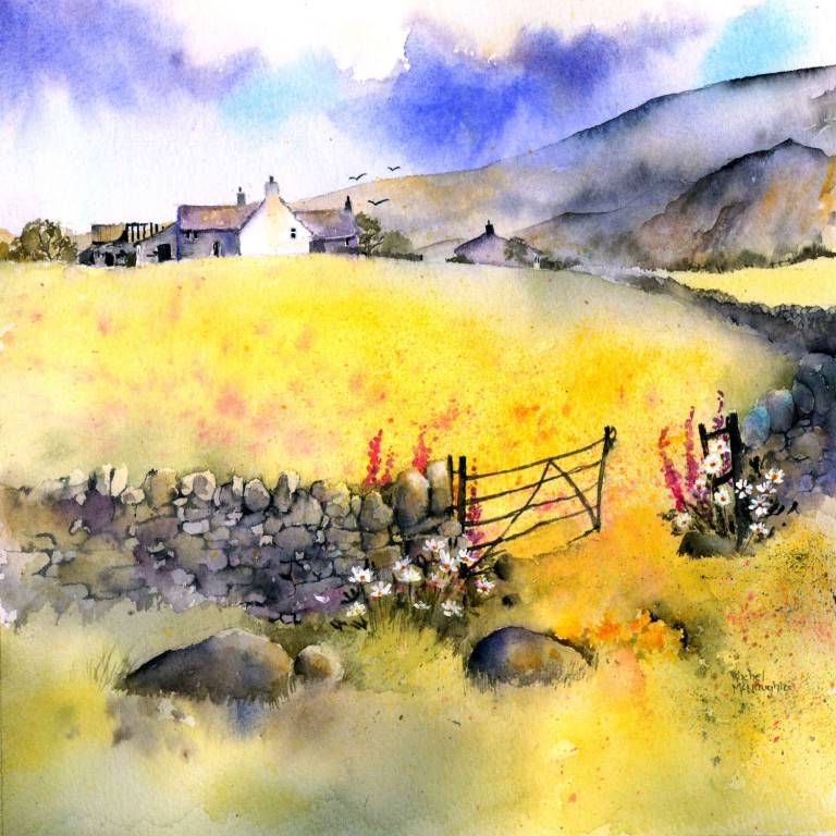 Summer Meadow, Swaledale, Yorkshire - Rachel McNaughton