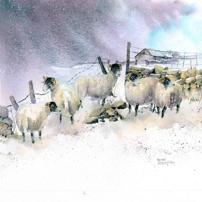 Snow on the Hills - Rachel McNaughton