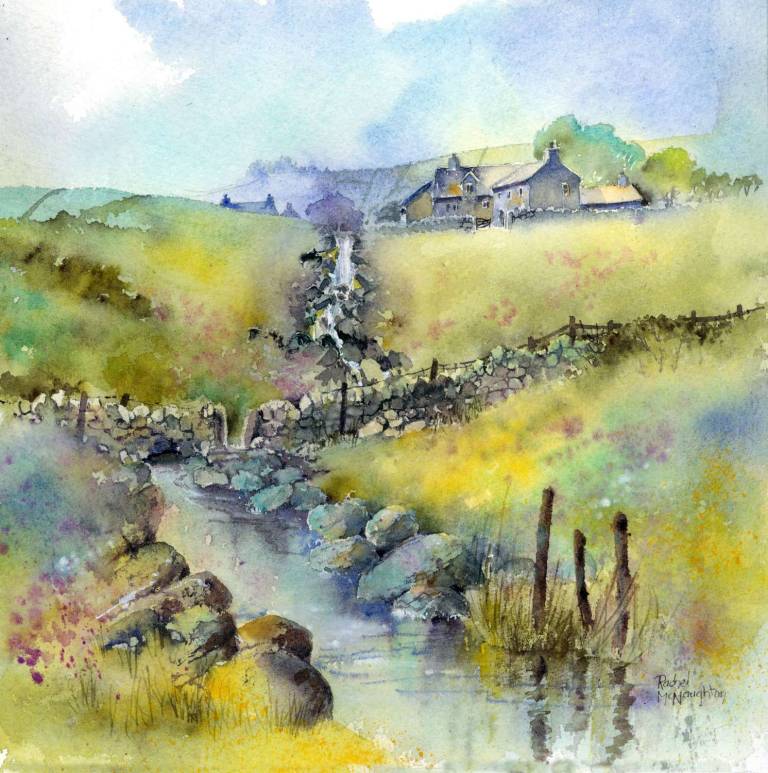Swaledale Stream (copy) - Rachel McNaughton