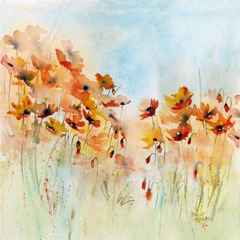 Poppy Meadow - Rachel McNaughton