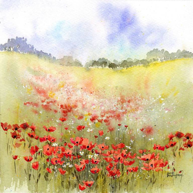 Red Poppy Meadow - Rachel McNaughton